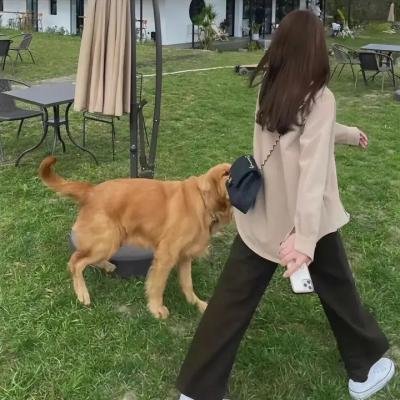 阿加莎失踪案